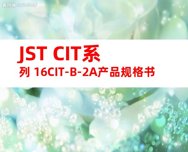 JST CIT系列 16CIT-B-2A产品规格书